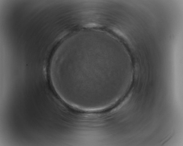 X0000088691305200706281954