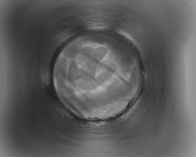 X0000088691306200706281954