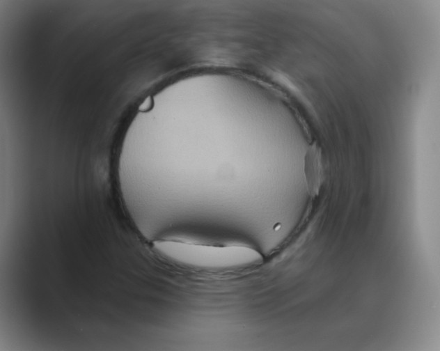 X0000088691307200706281954