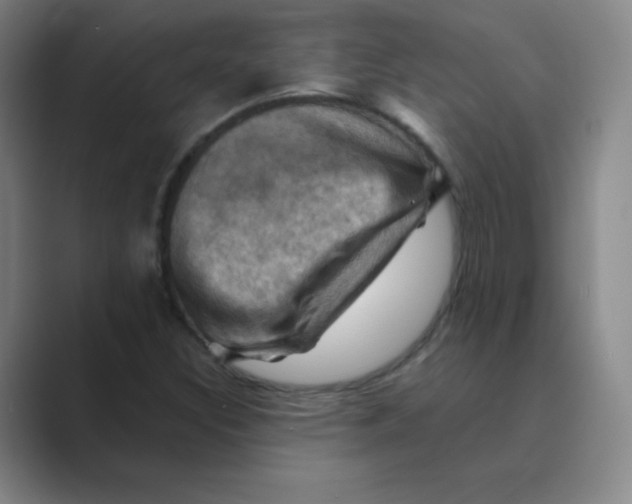 X0000088691308200706281954