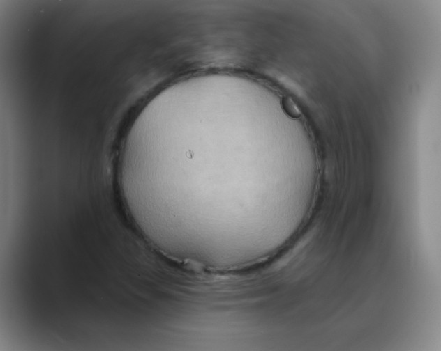 X0000088691309200706281954