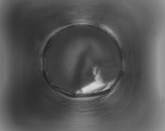 X0000088691310200706281954