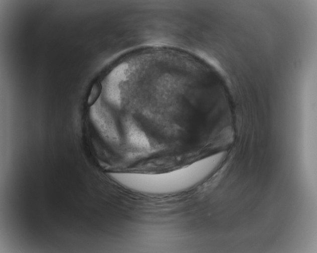 X0000088691311200706281954