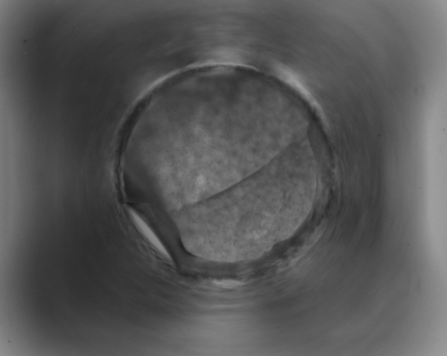 X0000088691312200706281954