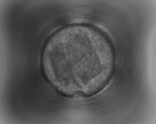 X0000088691313200706281954