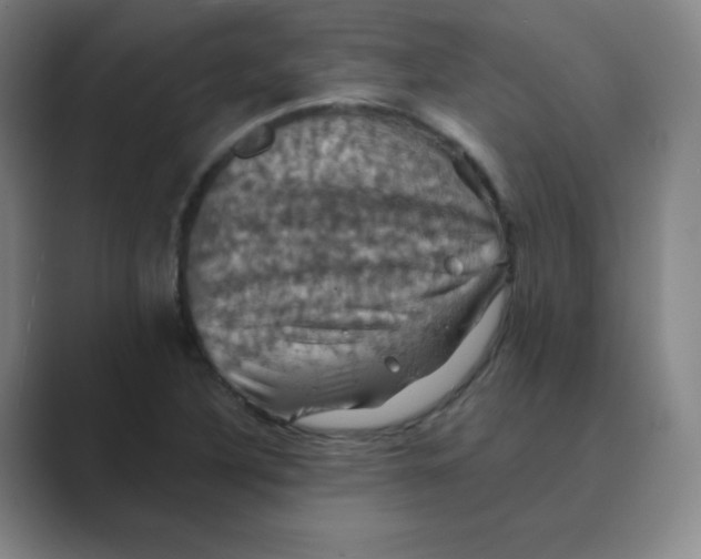 X0000088691316200706281954
