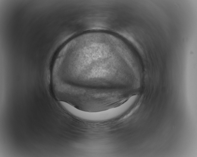 X0000088691317200706281954