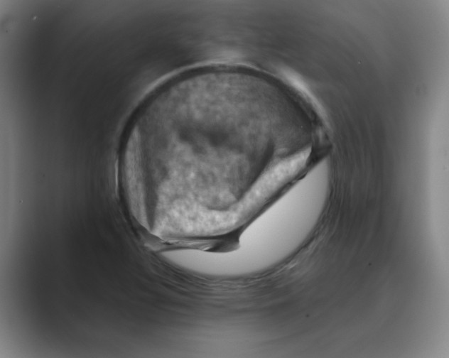 X0000088691320200706281954
