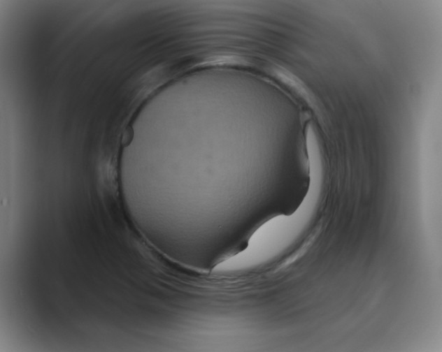 X0000088691321200706281954
