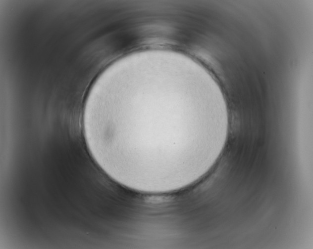 X0000088691322200706281954