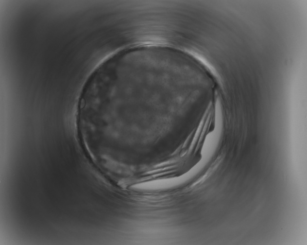 X0000088691325200706281954