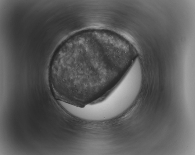 X0000088691326200706281954