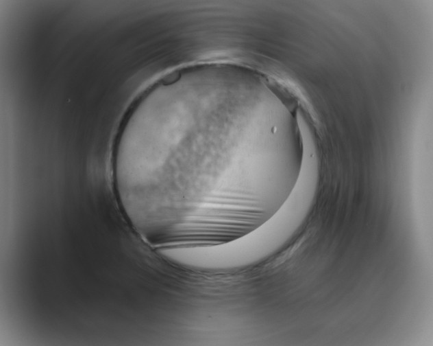 X0000088691328200706281954