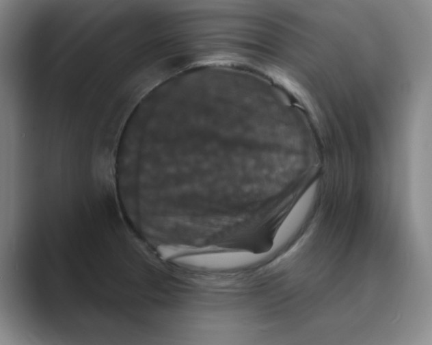 X0000088691329200706281954