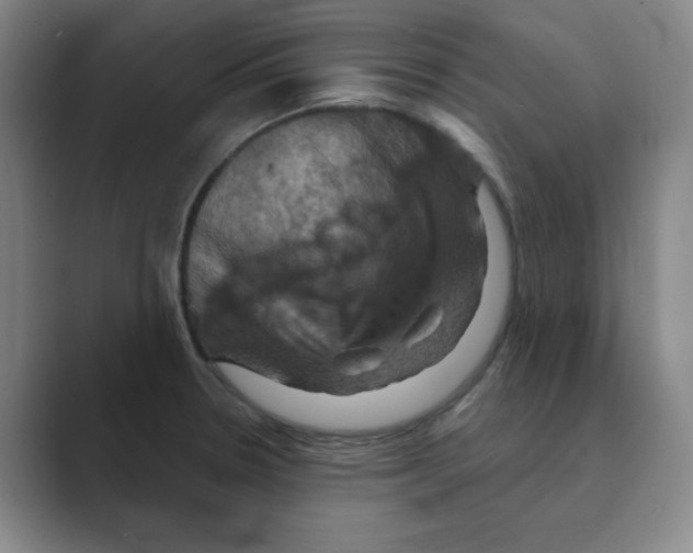 X0000088691330200706281954