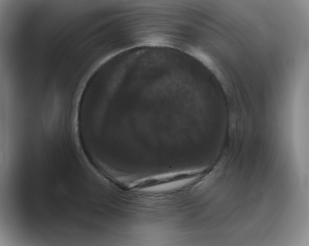 X0000088691331200706281954