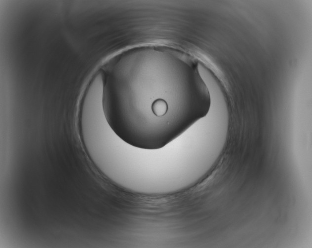 X0000088691332200706281954