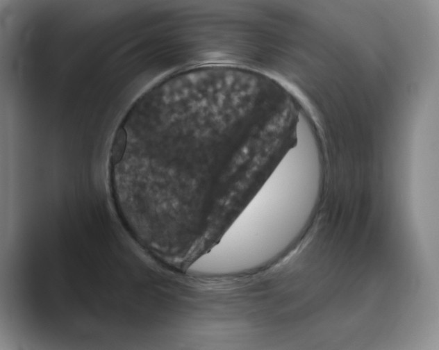 X0000088691333200706281954
