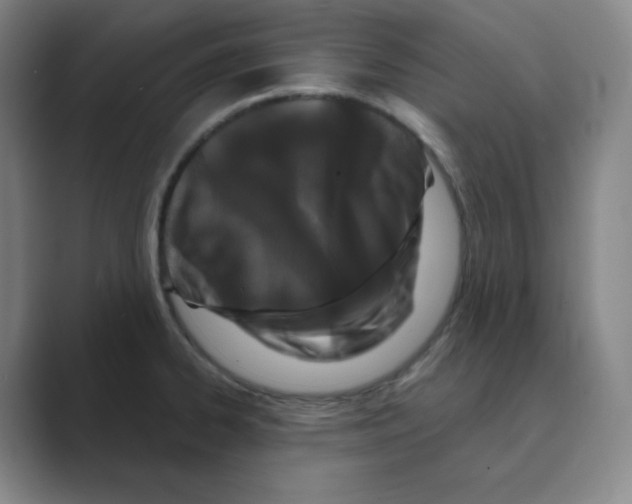 X0000088691334200706281955