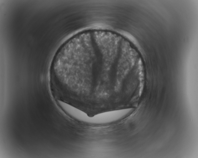 X0000088691335200706281955