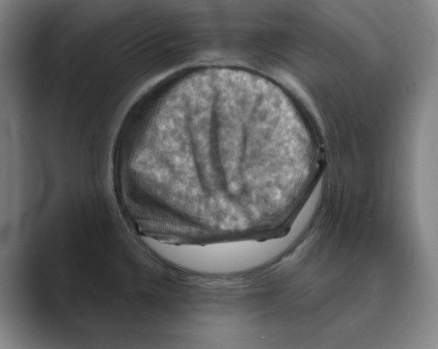 X0000088691336200706281955