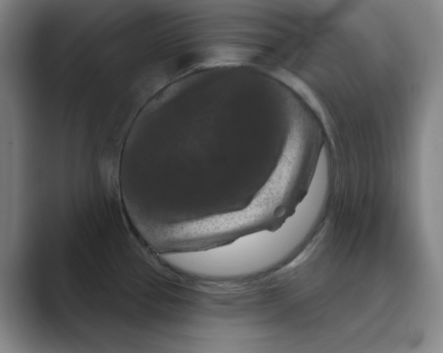 X0000088691337200706281955
