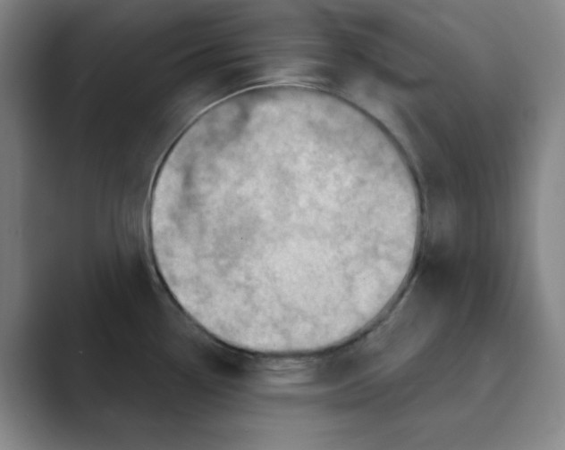X0000088691338200706281955