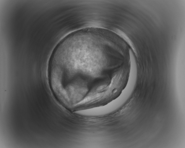 X0000088691339200706281955