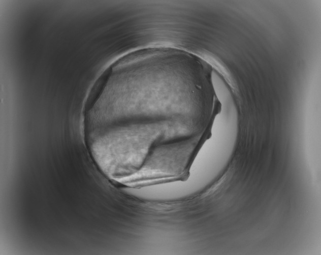 X0000088691340200706281955