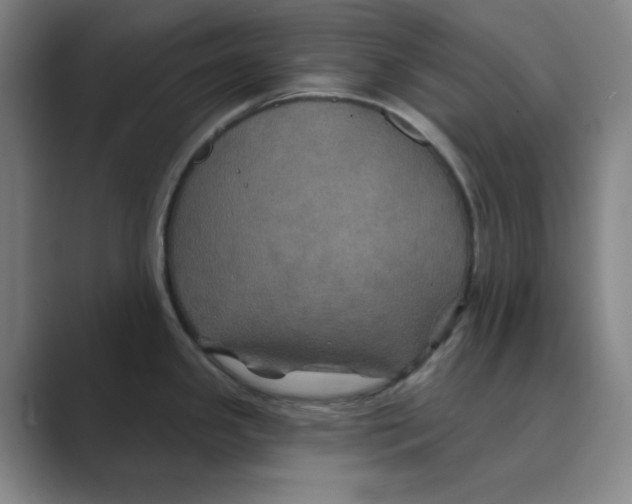 X0000088691341200706281955