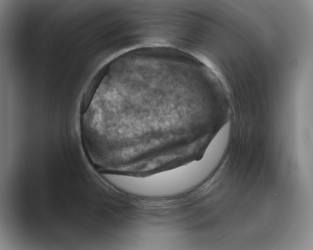 X0000088691342200706281955