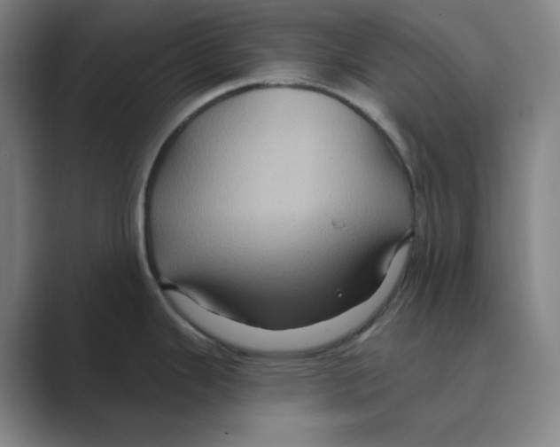 X0000088691343200706281955