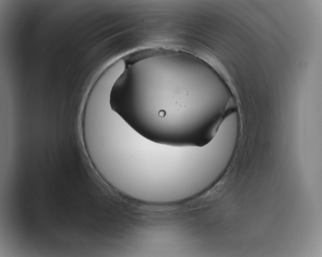 X0000088691344200706281955