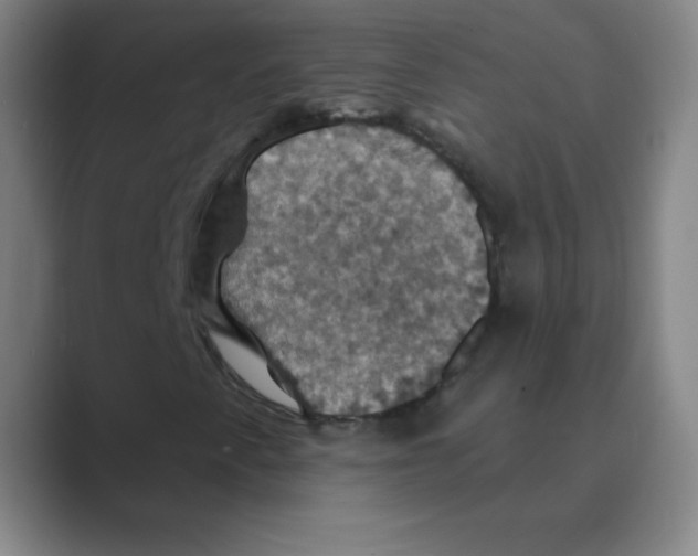 X0000088691345200706281954