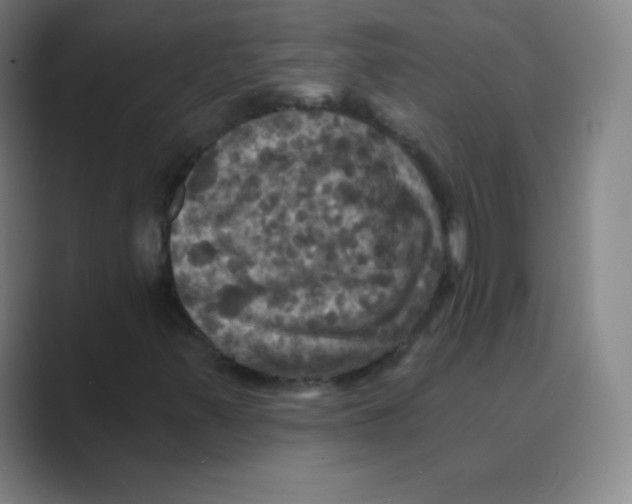 X0000088691347200706281954