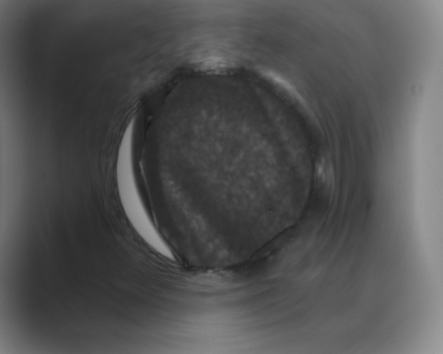 X0000088691348200706281954