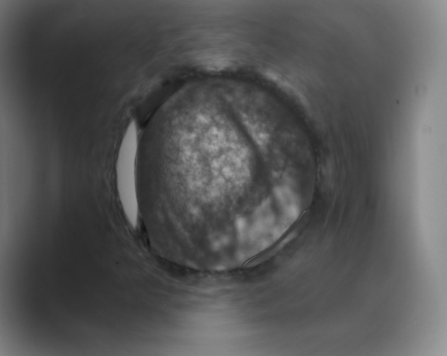 X0000088691349200706281954