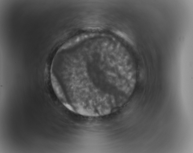 X0000088691350200706281954