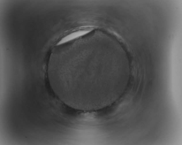 X0000088691351200706281954