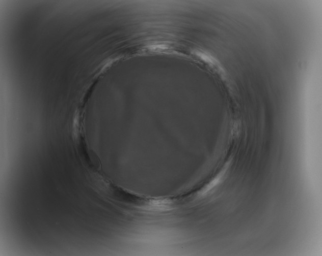 X0000088691353200706281954