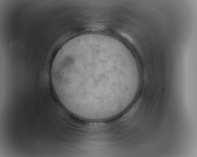 X0000088691354200706281954