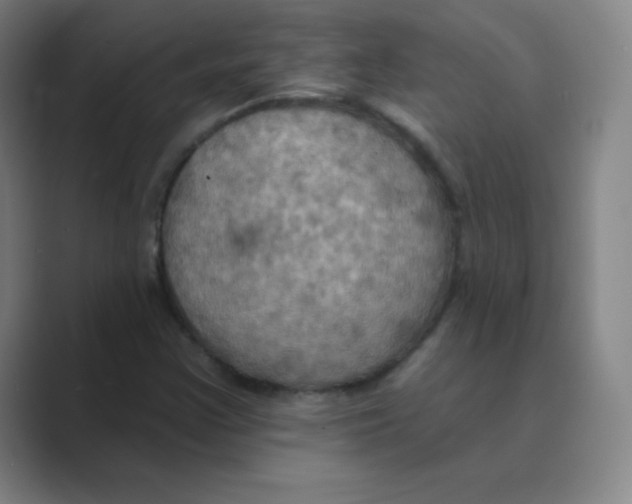 X0000088691355200706281954