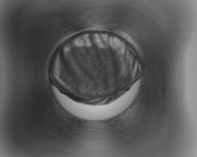 X0000088691356200706281954