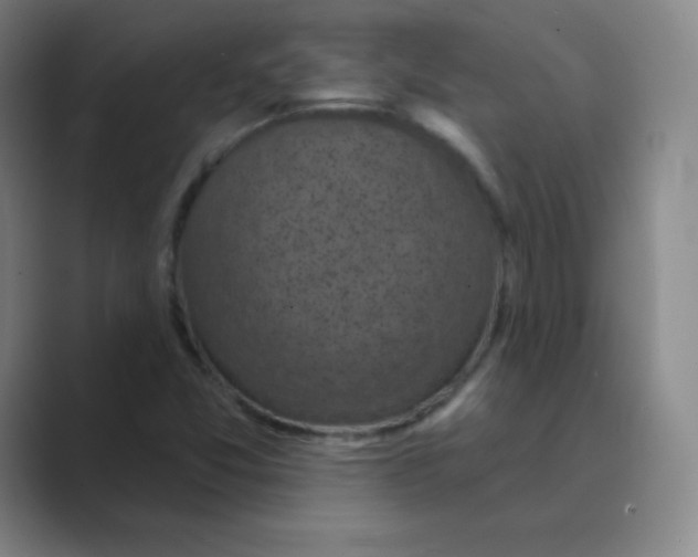 X0000088691357200706281954