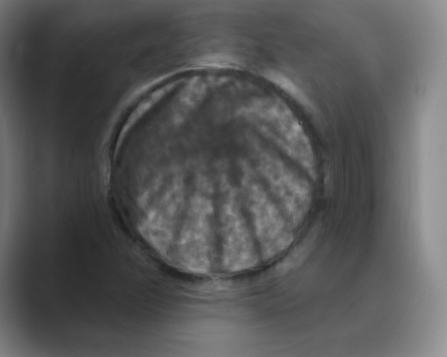 X0000088691358200706281954