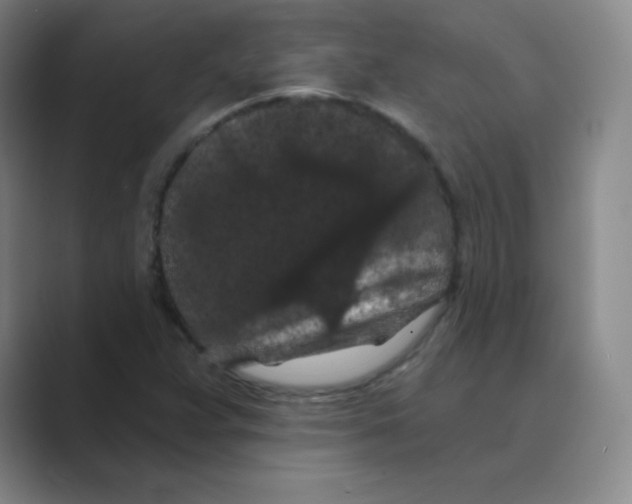 X0000088691359200706281954