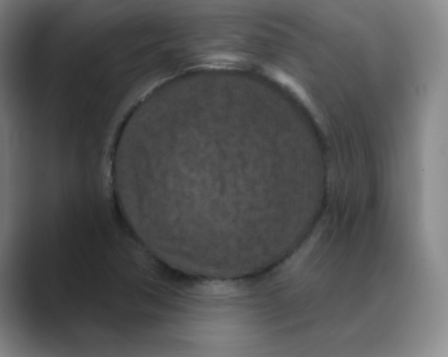 X0000088691362200706281954