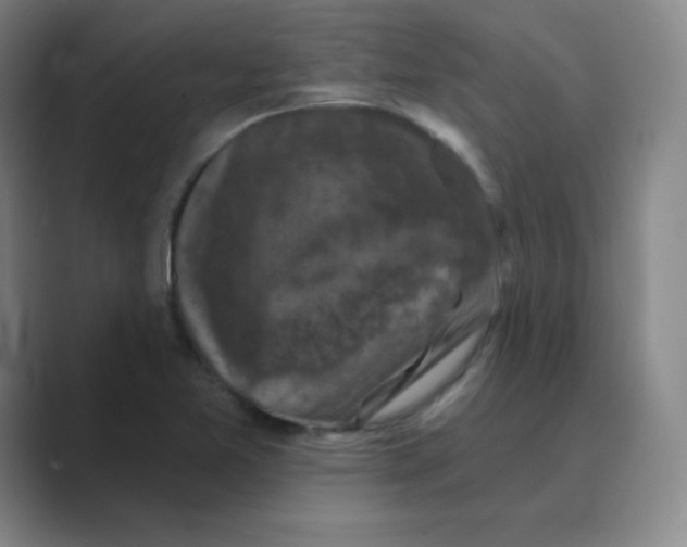 X0000088691365200706281954