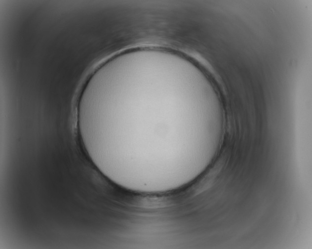 X0000088691366200706281954