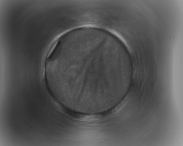 X0000088691367200706281954